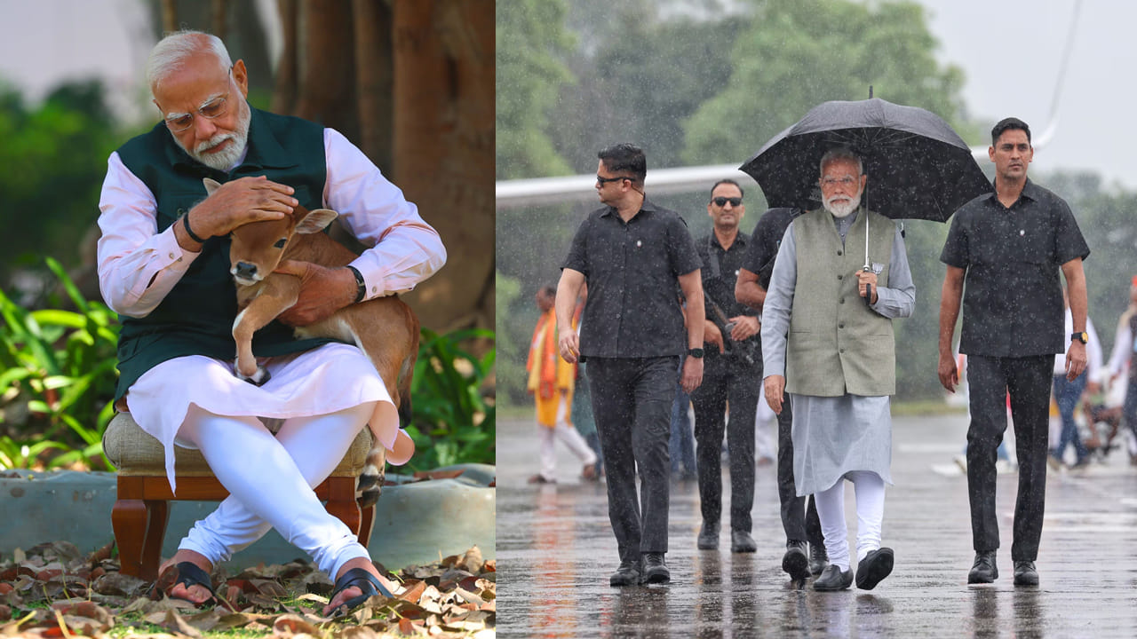 న్యూఢిల్లీలోని 7 LKM వద్ద ఒక దూడను ముద్దు చేస్తున్న ప్రధాని మోదీ. బీహార్‌లోని దర్భంగా చేరుకున్న ప్రధాని మోదీ.
