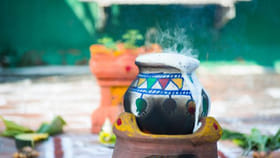 2026లో పొంగల్ పండుగ ఎప్పుడు? దీని ప్రాముఖ్యత గురించి తెలుసుకుందాం