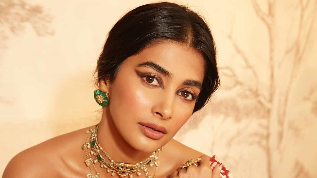 ఈ సినిమా తర్వాత ఈ బ్యూటీ చాలా సినిమాల్లో నటించి మెప్పించింది. ముఖ్యంగా స్టార్ హీరోల సినిమాల్లో అవకాశాలు అందుకుంది. అల్లు అర్జున్ సరసన దువ్వాడ జగన్నాథం, అరవింద సమేత, మహర్షి, అలా వైకుంఠ పురం , రాధే శ్వామ్, ఇలా చాలా సినిమాల్లో నటించి మెప్పించింది. టాలీవుడ్ స్టార్ హీరోల అందరి సరసన నటించింది.