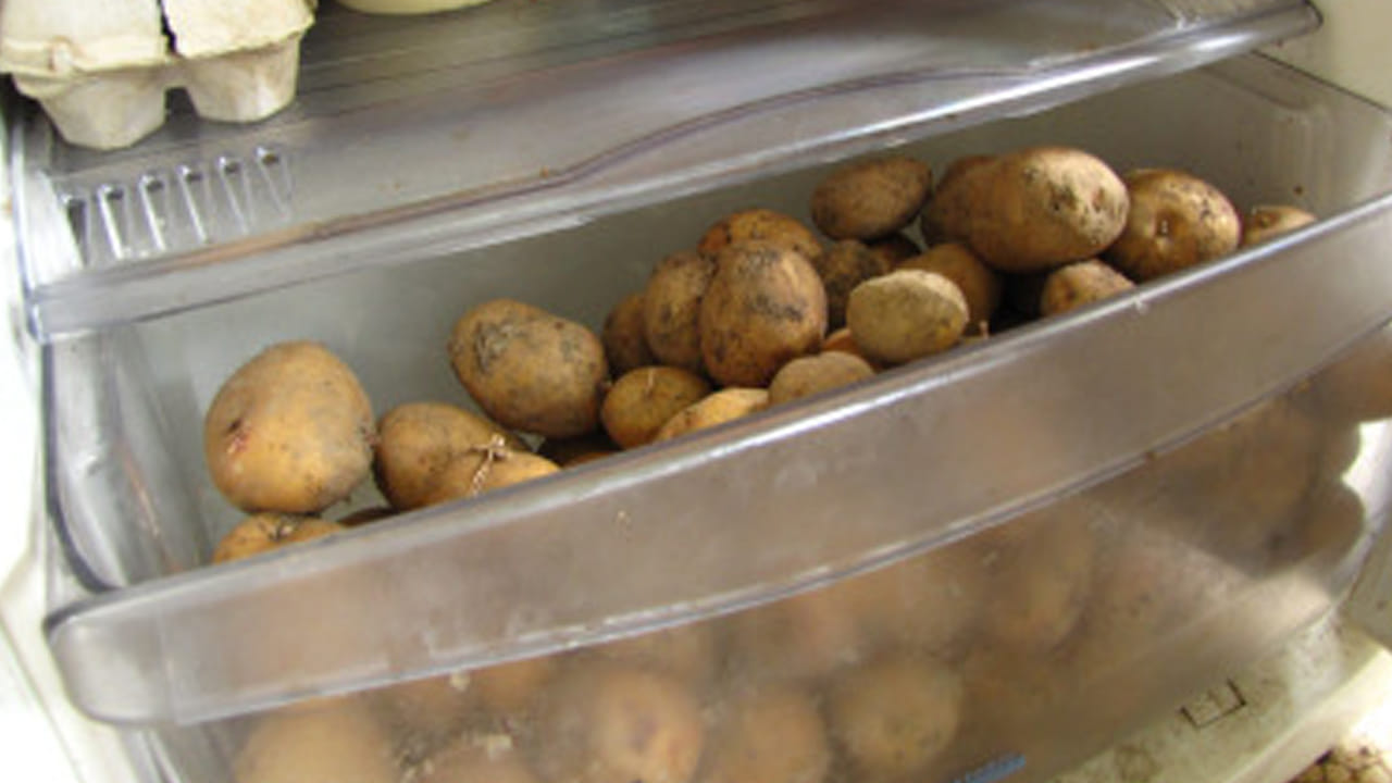 బంగాళాదుంపలను ఫ్రిజ్‌లో ఎందుకు నిల్వ చేయకూడదు:  బంగాళాదుంపలను ఫ్రిజ్‌లో ఉంచకూడదు, శీతాకాలంలోనే కాదు, మీరు వాటిని ఏ సీజన్‌లో కొనుగోలు చేసినా సరే. ఇది మీ ఆరోగ్యానికి చాలా హానికరం. మీరు బంగాళాదుంపలను ఫ్రిజ్‌లో ఉంచితే, అవి చాలా త్వరగా మొలకెత్తడం ప్రారంభిస్తాయి. వాటిలోని స్టార్చ్ నేరుగా చక్కెరగా మారుతుంది. ఇది డయాబెటిస్ ఉన్నవారికి మాత్రమే కాకుండా పిల్లలు మరియు పెద్దలకు కూడా హానికరం.