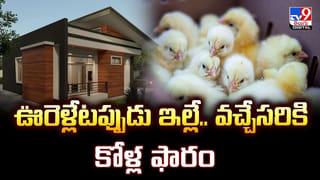 దారి తప్పిన చిన్నారి.. 17 ఏళ్ల తర్వాత ఇంటికి