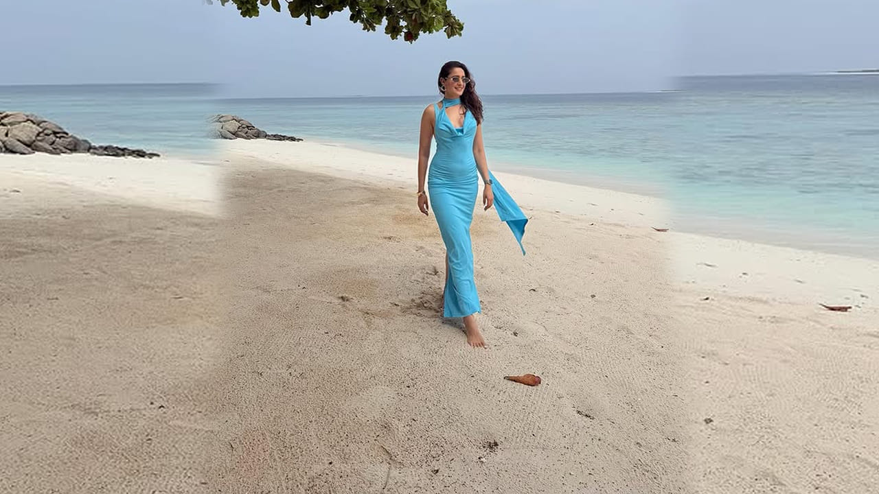 .తర్వాత ఈ ముద్దుగుమ్మ ఓం నమో వెంకటేశాయ, గుంటూరోడు, నక్షత్రం, జయజానకీ నాయక, ఆచారి అమెరికా యాత్ర, సైరా వంటి చాలా సినిమాల్లో నటించింది. 2 / 5