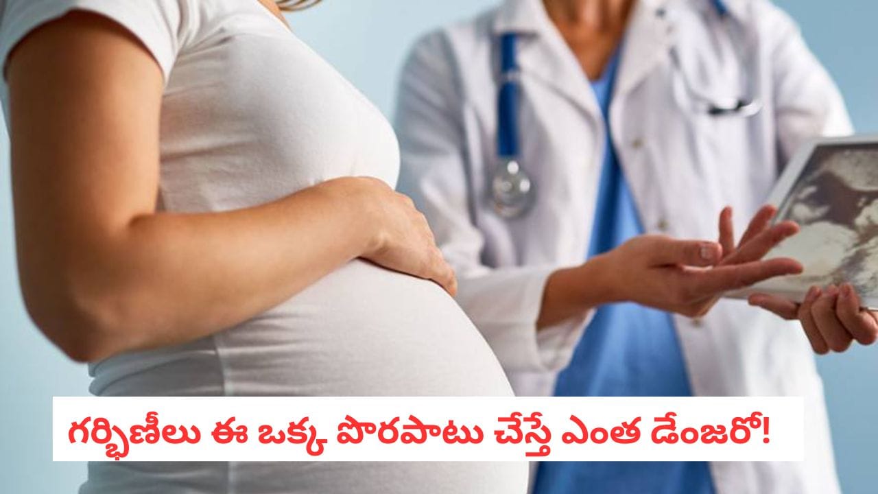 Pregnancy Care: గర్భిణీ స్త్రీలకు డబుల్ డేంజర్! ఇంట్లో ఈ ఒక్కటీ ఉంటే బిడ్డ సేఫ్..