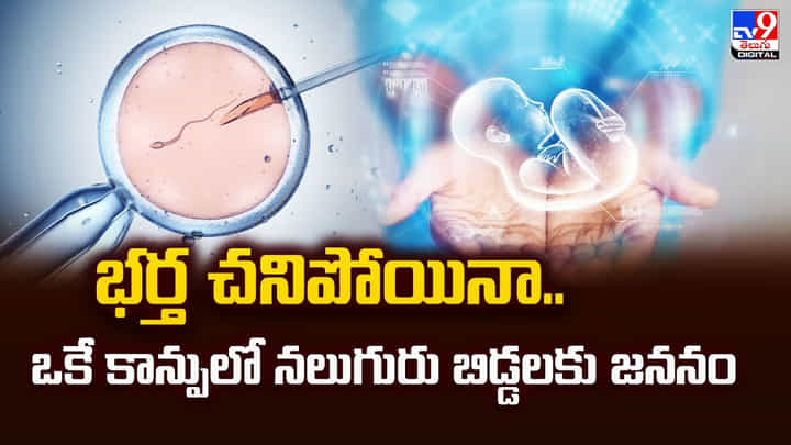 భర్త చనిపోయినా.. ఒకే కాన్పులో నలుగురు బిడ్డలకు జననం భర్త చనిపోయినా.. ఒకే కాన్పులో నలుగురు బిడ్డలకు జననం