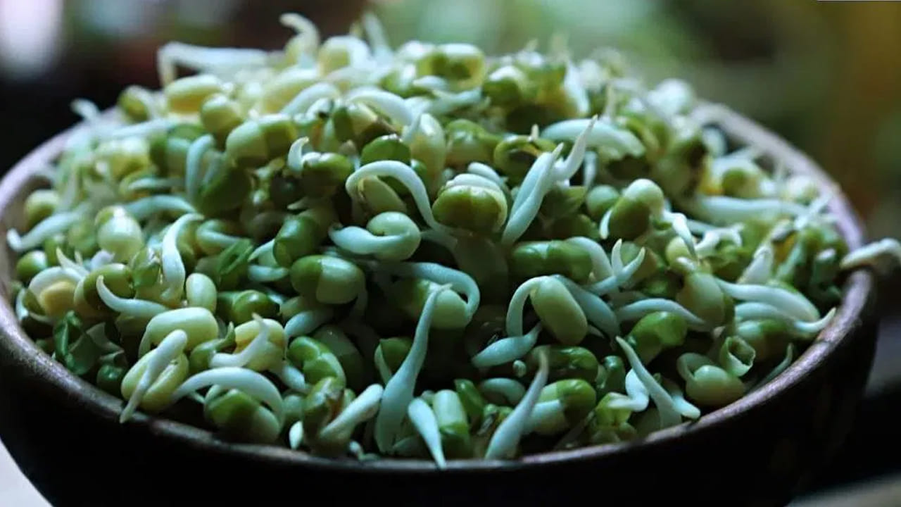 అలాగే మొలకెత్తిన గింజలు తినడం వల్ల కూడా శరీరానికి అవసరమైన ప్రోటీన్ అధికంగానే లభిస్తుంది. శరీరానికి ప్రోటీన్ చాలా ముఖ్యం. ఎందుకంటే శరీరానికి సరైన మొత్తంలో ప్రోటీన్ అందితే కండరాలు బలంగా మారుతాయి. ప్రోటీన్ శరీరానికి బలాన్ని ఇస్తుంది. అయితే మాంసాహారమే కాదు.. కొన్ని శాఖాహార ఆహారాలు కూడా అధిక ప్రోటీన్ అందిస్తాయి.