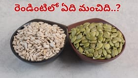 గుమ్మడి గింజలు Vs పొద్దుతిరుగుడు గింజలు.. ఆరోగ్యానికి ఏది మంచిది?