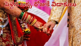 పెళ్లైన 24 గంటలకే విడాకులు.. భర్త చెప్పిన సీక్రెట్‌తో షాకైన వధువు