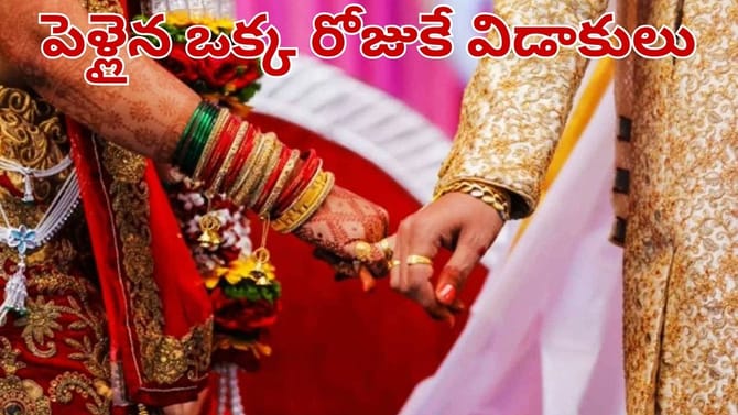 పెళ్లైన 24 గంటలకే విడాకులు.. భర్త చెప్పిన సీక్రెట్‌తో షాకైన వధువు