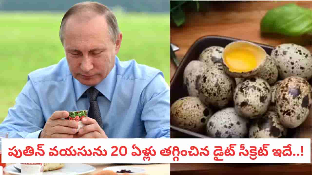 Putin Fitness Secret: రష్యా అధ్యక్షుడి రూల్.. బ్రేక్ ఫాస్ట్ లో ఈ పక్షి గుడ్లు ఉండాల్సిందేనట!