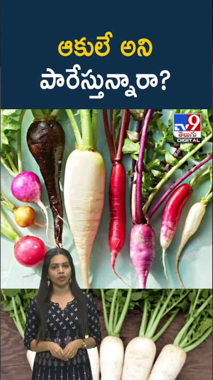 ముల్లంగి ఆకులు పారేస్తున్నారా? వాటి ప్రయోజనాలు తెలిస్తే..