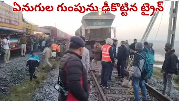 అస్సాంలో ఘోర రైలు ప్రమాదం.. ఏనుగుల గుంపును ఢీకొన్న రాజధాని ఎక్స్ప్రెస్.. స్పాట్లోనే..
