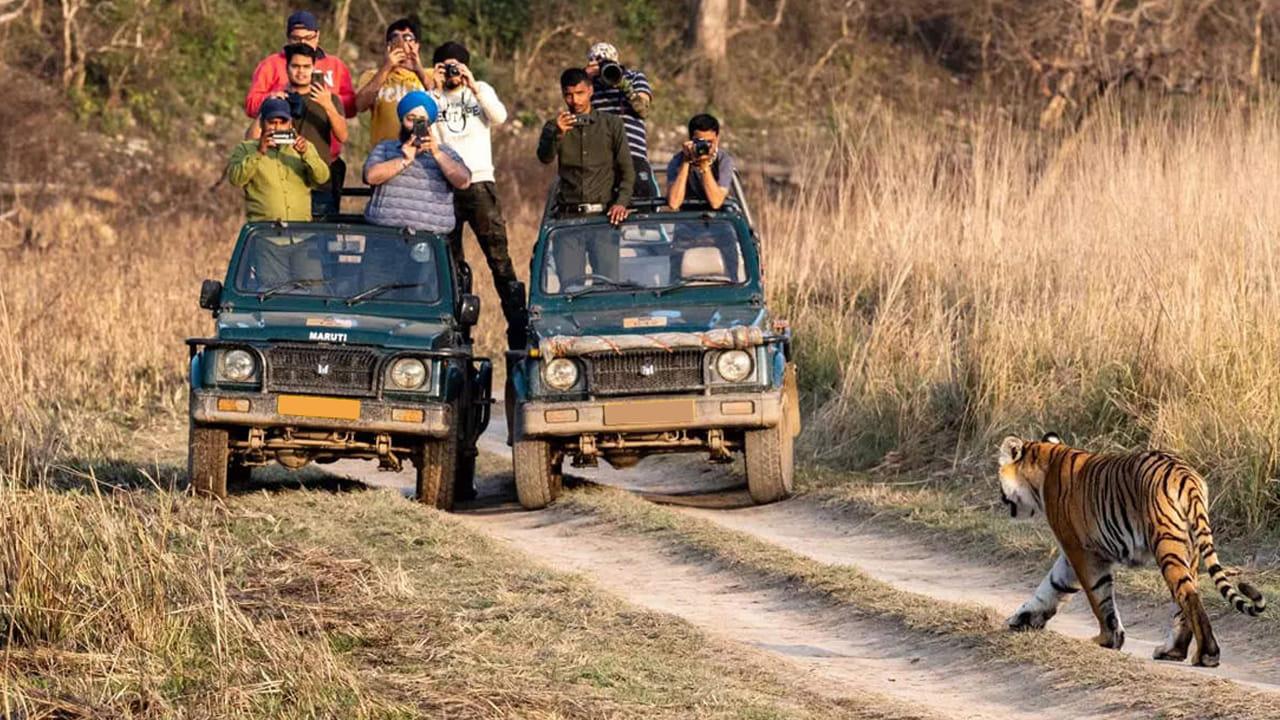 వైల్డ్లైఫ్ ఫోటోగ్రఫీ: వైల్డ్లైఫ్ ఫోటోగ్రఫీని ఇష్టపడే వారికి ఈ ప్రదేశం మీకు ఉత్తమమైనదిగా నిరూపించబడుతుంది. నీలగాయ, జింక సహ అనేక ఇతర పక్షులు ఇక్కడ ఉన్నాయి. ఇక్కడ అద్భుతమైన జ్ఞాపకాలను జీవితంలో పదిల పరచుకోగల చిత్రాలను తీసుకోవచ్చు.