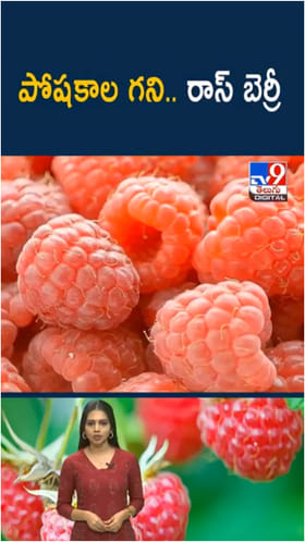 Raspberry: పోషకాల గని రాస్ బెర్రీ తింటే.. ఎన్ని లాభాలో తెలుసా..?