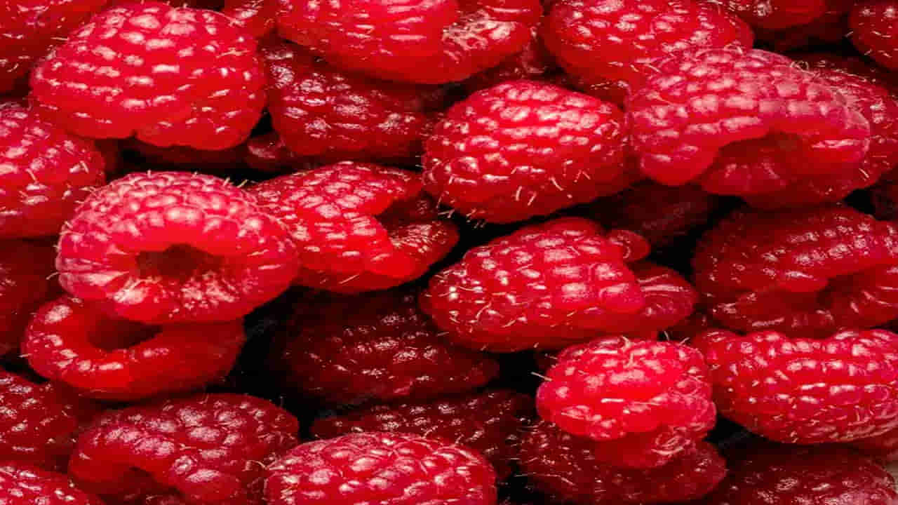 Raspberry: ఈ అందమైన పండుతో అద్భుత ప్రయోజనాలు.. గుండె ఆరోగ్యానికి దివ్యౌషధం..