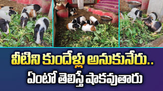 ఆ ఊర్లో ప్రజలందరికీ ఒకటే పేరు.. ఎవర్ని పిలిచినా..