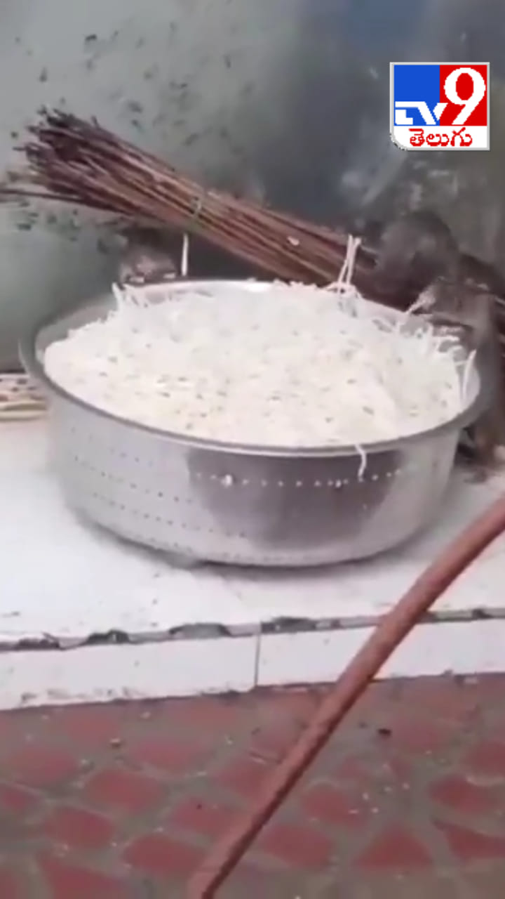 Vijayawada: ప్రభుత్వాసుపత్రి హోటల్‌లో కనిపించిన షాకింగ్ దృశ్యం