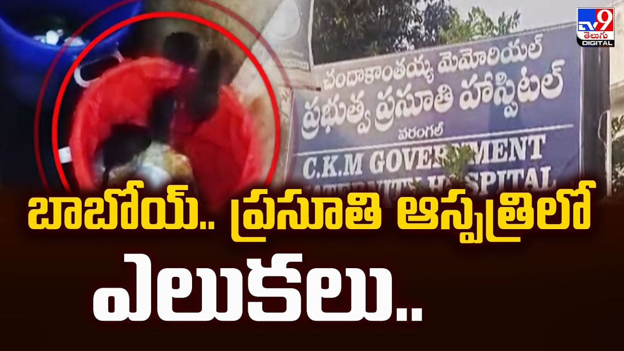 బాబోయ్‌.. ప్రసూతి ఆస్పత్రిలో ఎలుకలు
