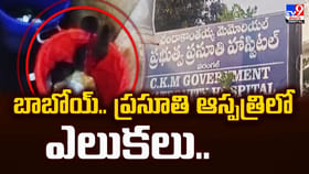 బాబోయ్‌.. ప్రసూతి ఆస్పత్రిలో ఎలుకలు
