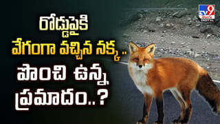 చెత్త, ప్లాస్టిక్ ఇస్తే.. కూరగాయలు, స్నాక్స్‌ ఇస్తారు వీడియో