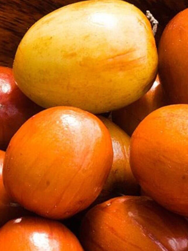 చిన్నవే కానీ గట్టివి.. చలికాలంలో రేగి పండ్లు తింటే ఎన్ని లాభాలో..