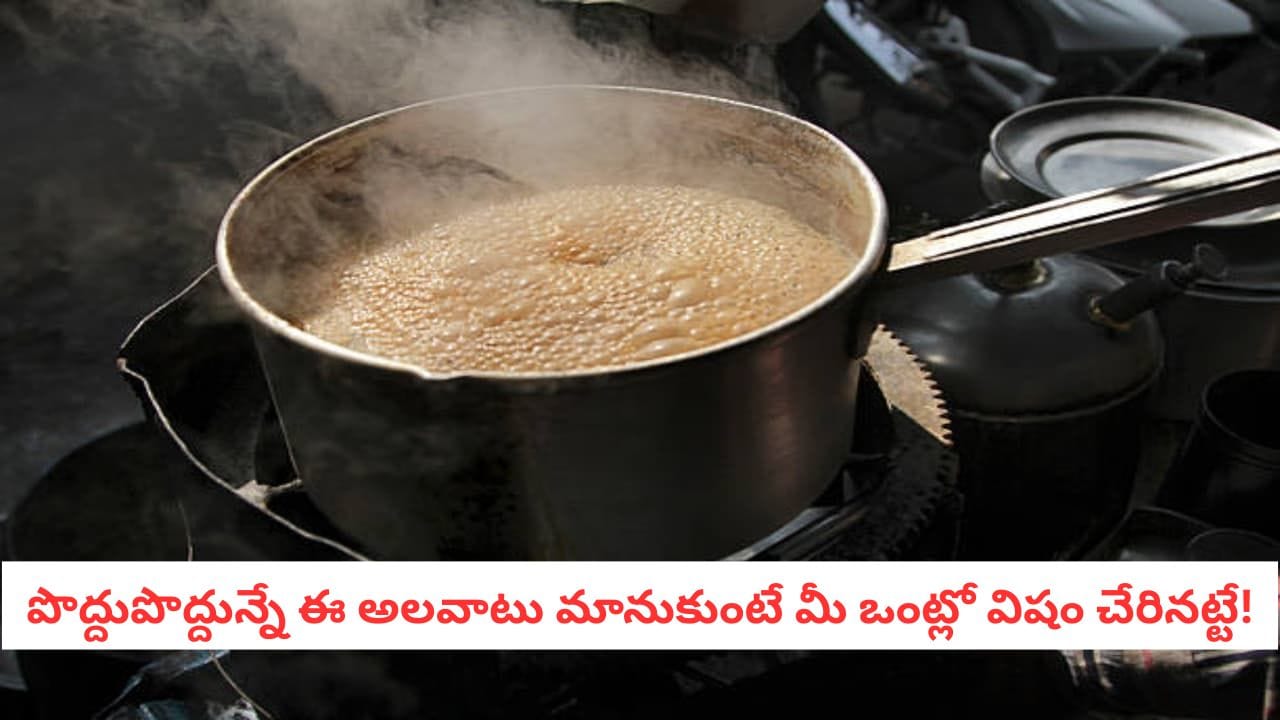 Ayurveda Tips: పాము కాటు కంటే ప్రమాదం.. పొద్దున్నే ఈ ఒక్క అలవాటు మీ హెల్త్‌ని ఎలా డ్యామేజ్ చేస్తుందో తెలుసా? 