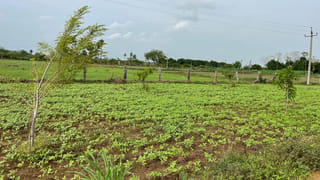 ఇన్సూరెన్స్ డబ్బుల కోసం.. సినీ ఫక్కీలో సొంత అన్నను చంపిన తమ్ముడు!