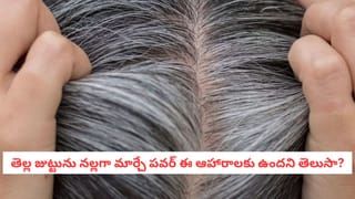 చలికాలంలో ఈ పదార్థాలను ఇష్టంగా తింటున్నారా.. ? అయితే, షెడ్డుకెళతారు జాగ్రత్త..