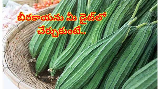 బీరకాయ మీ డైట్లో ఉంటే బోలెడన్నీ లాభాలు.. ఇమ్యూనిటీ పెరగడంతో పాటు, గుండెకు మేలు..