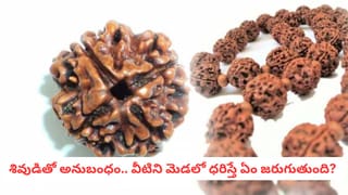 Vastu Tips: గణేశుడికి ఇష్టమైన దర్భని ఇంట్లో ఎక్కడ పెంచాలి? వాస్తు ప్రకారం ధనం వచ్చే దిశ ఇదే!