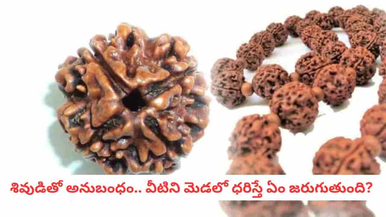 Rudraksha: ఆరోగ్య సమస్యలను సైతం నయం చేయగల పవర్.. రుద్రాక్ష గురించి ఇవి తెలుసా?