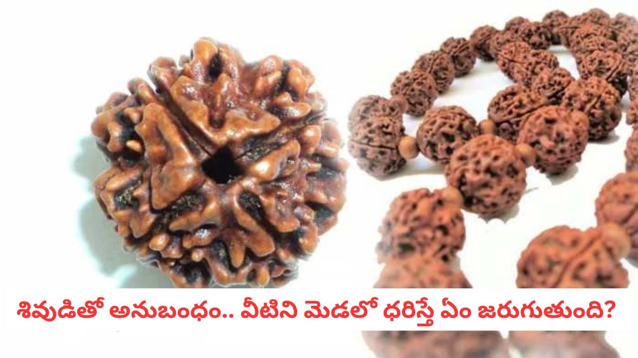 Rudraksha: ఆరోగ్య సమస్యలను సైతం నయం చేయగల పవర్.. రుద్రాక్ష గురించి ఇవి తెలుసా?