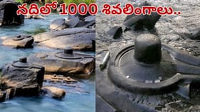 నదిలో 1000 శివలింగాలు.. ప్రకృతి చెక్కిన అద్భుతం..