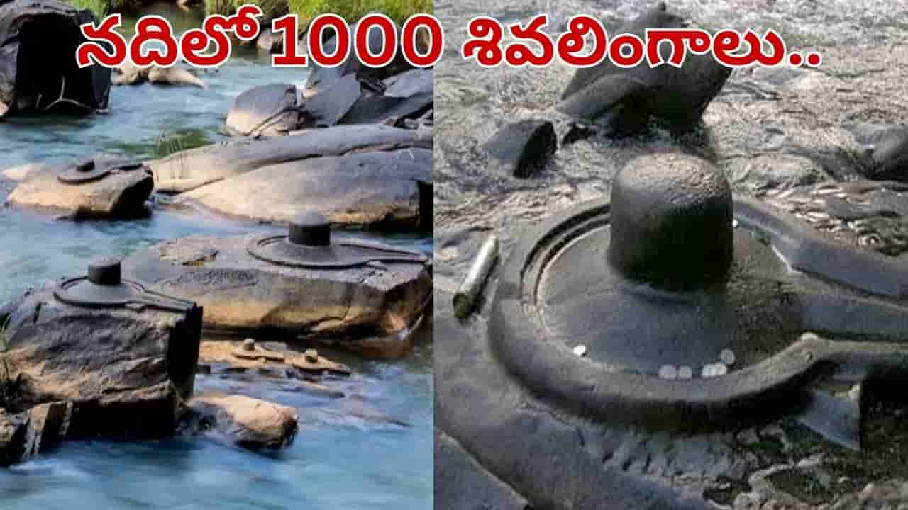 Video: నదిలో 1000 శివలింగాలు.. ప్రకృతి చెక్కిన అద్భుతం.. ఎప్పుడు కనిపిస్తాయో తెలుసా..?
