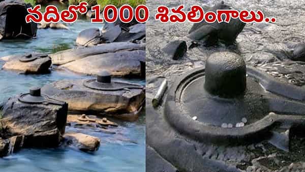 Video: నదిలో 1000 శివలింగాలు.. ప్రకృతి చెక్కిన అద్భుతం.. ఎప్పుడు కనిపిస్తాయో తెలుసా..?