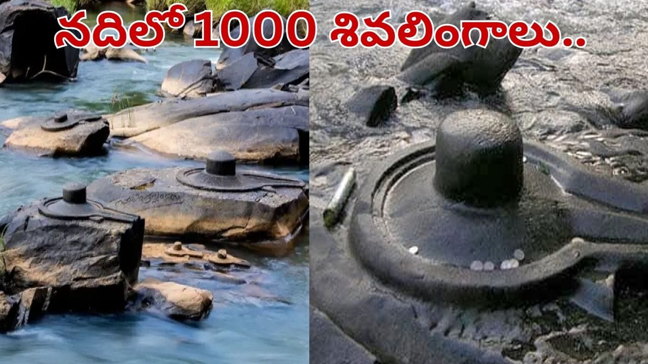 Video: నదిలో 1000 శివలింగాలు.. ప్రకృతి చెక్కిన అద్భుతం.. ఎప్పుడు కనిపిస్తాయో తెలుసా..?