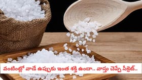 వంటింట్లో వాడే ఉప్పుకు ఇంత శక్తి ఉందా.. వాస్తు చెప్పే సీక్రెట్..