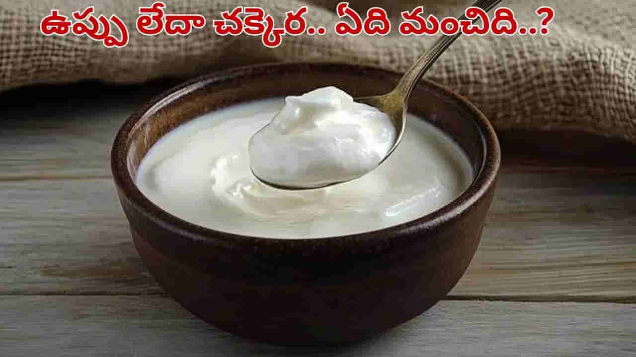 Curd: ఉప్పు లేదా చక్కెర.. పెరుగులో ఏది వేసుకుంటే ఆరోగ్యానికి మంచిది..?