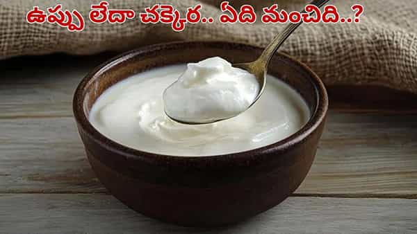 Curd: ఉప్పు లేదా చక్కెర.. పెరుగులో ఏది వేసుకుంటే ఆరోగ్యానికి మంచిది..?