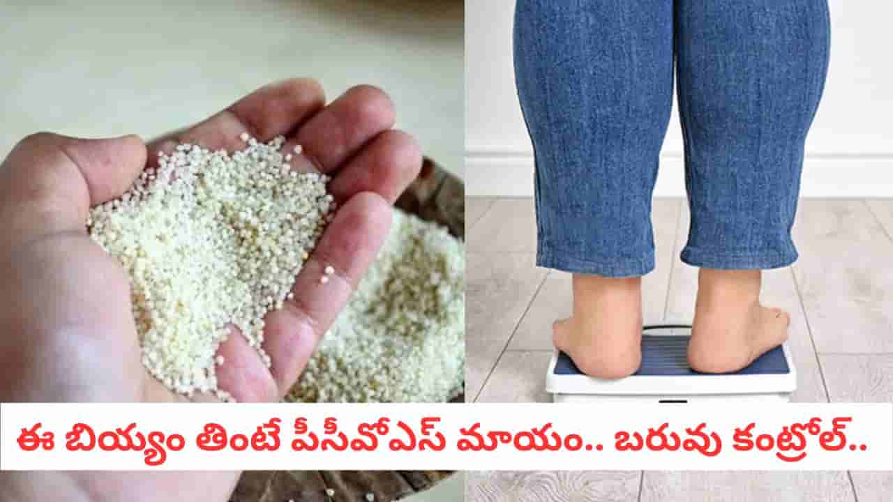 Weight Loss Rice: భారత్‌లో పండే ఈ బియ్యం తింటే చాలు... బరువు తగ్గడం చాలా ఈజీ..!