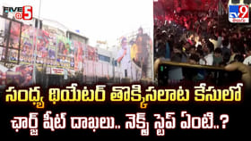 సంధ్య థియేటర్ తొక్కిసలాట కేసులో ఛార్జ్ షీట్ దాఖలు..