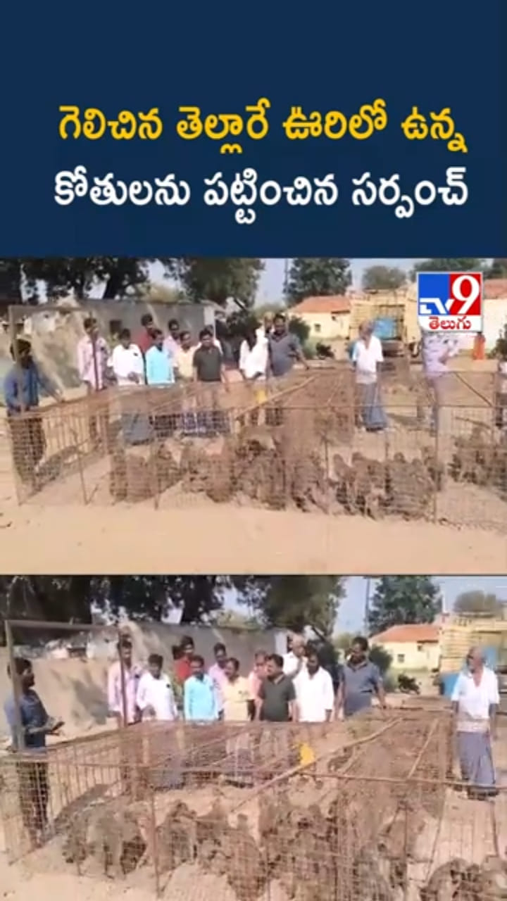 Telangana: గెలిచిన తెల్లారే.. ఇచ్చిన మాటను నిలబెట్టుకున్న సర్పంచ్