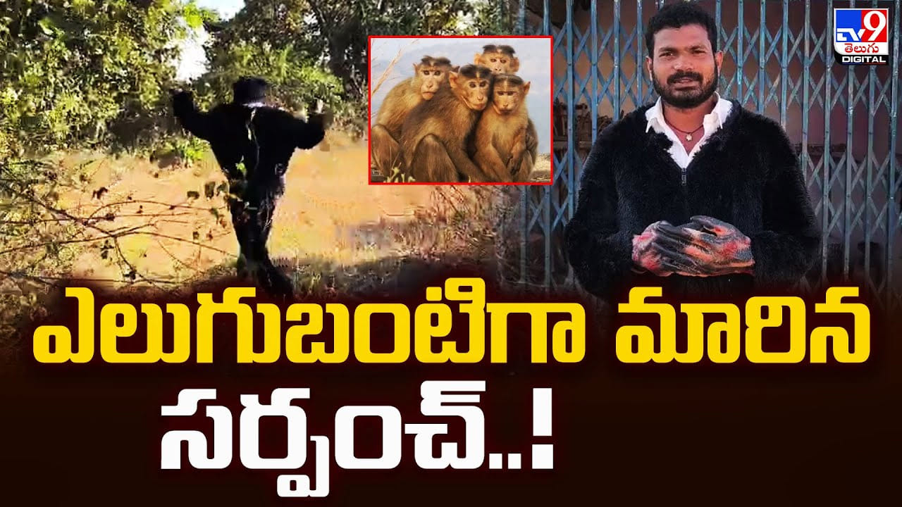 వాటి కోసం ఎలుగుబంటిగా మారిన సర్పంచ్.. చివరికి ఏమైందంటే