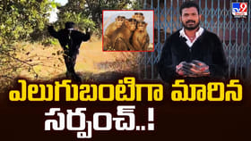 వాటి కోసం ఎలుగుబంటిగా మారిన సర్పంచ్.. చివరికి ఏమైందంటే