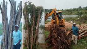 సత్తయ్య.. నీ కృషి అమోఘమయ్య...!