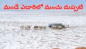 వార్ని ఇదెక్కడి వింత.. మండే ఎడారిలో మంచు దుప్పటి.. వీడియో వైరల్