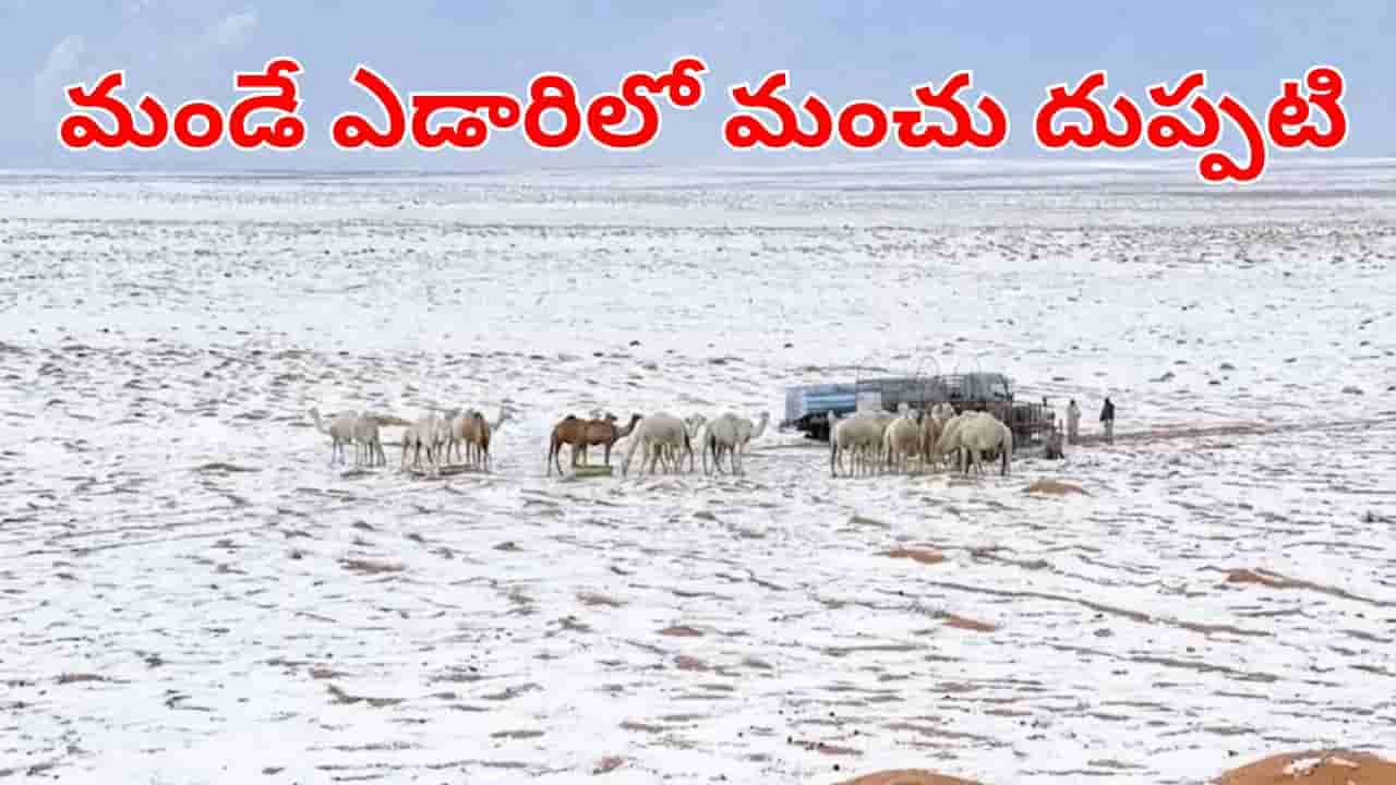 Watch Video: వార్ని ఇదెక్కడి వింత.. మండే ఎడారిలో మంచు దుప్పటి.. నెటిజన్లను ఆశ్చర్యపరుస్తున్న దృశ్యం!