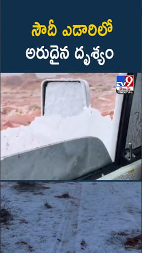సౌదీ ఎడారిలో అరుదైన దృశ్యం.. వీడియో చూడండి..