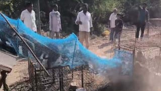 Warangal: ఎంజీఎం ఆసుపత్రిలో పేషెంట్‌ను కొరికి గాయపరిచిన ఎలుకలు