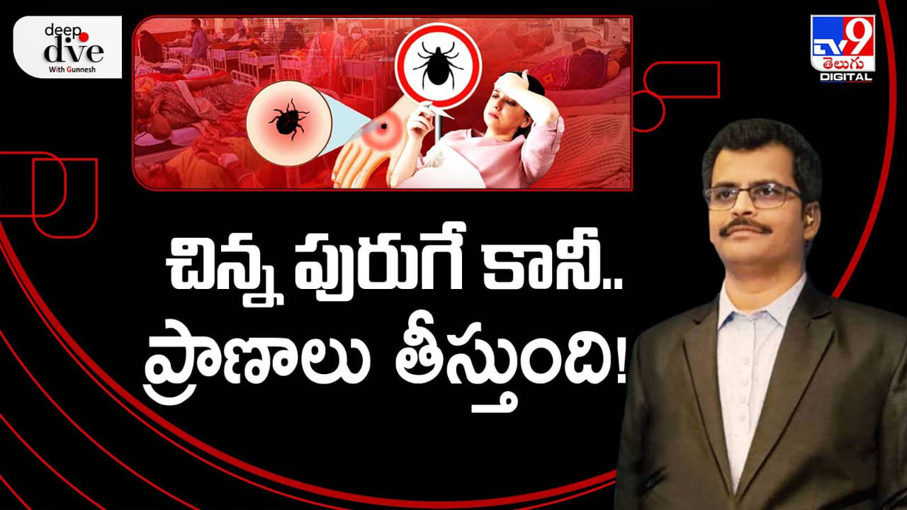 Scrub Typhus: చిన్న పురుగే కానీ.. ప్రాణాలు తీస్తుంది! ఈ లక్షణాలు యమడేంజర్.. Scrub Typhus: చిన్న పురుగే కానీ.. ప్రాణాలు తీస్తుంది! ఈ లక్షణాలు యమడేంజర్..