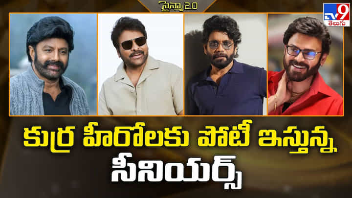 కుర్ర హీరోలకు పోటీ ఇస్తున్న సీనియర్స్ కుర్ర హీరోలకు పోటీ ఇస్తున్న సీనియర్స్